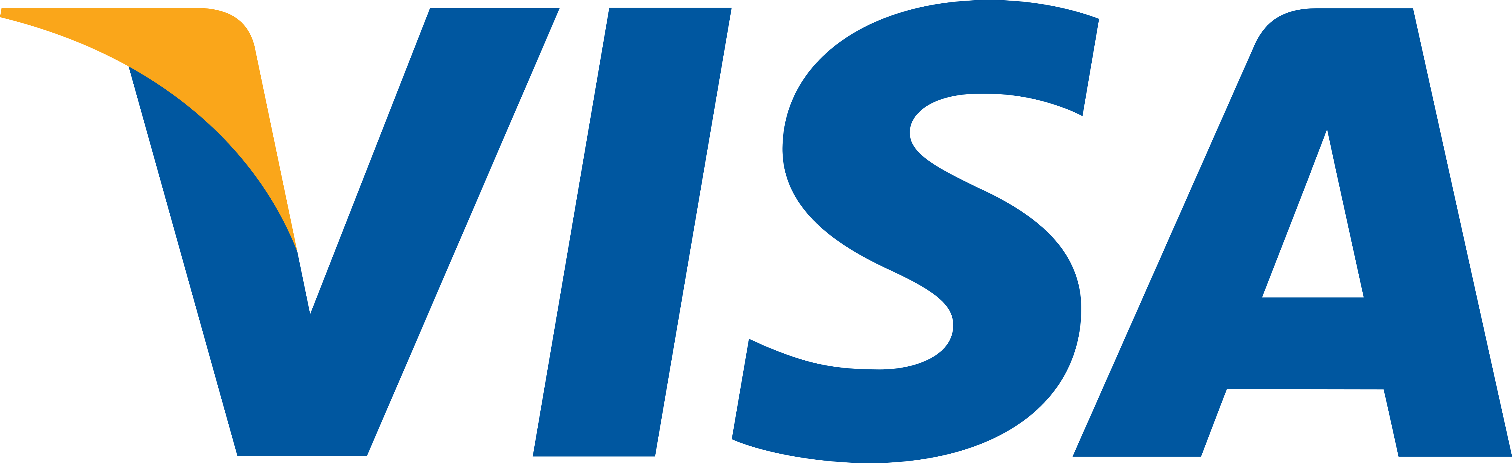 visa-card-logo-9 - Dr Anvika